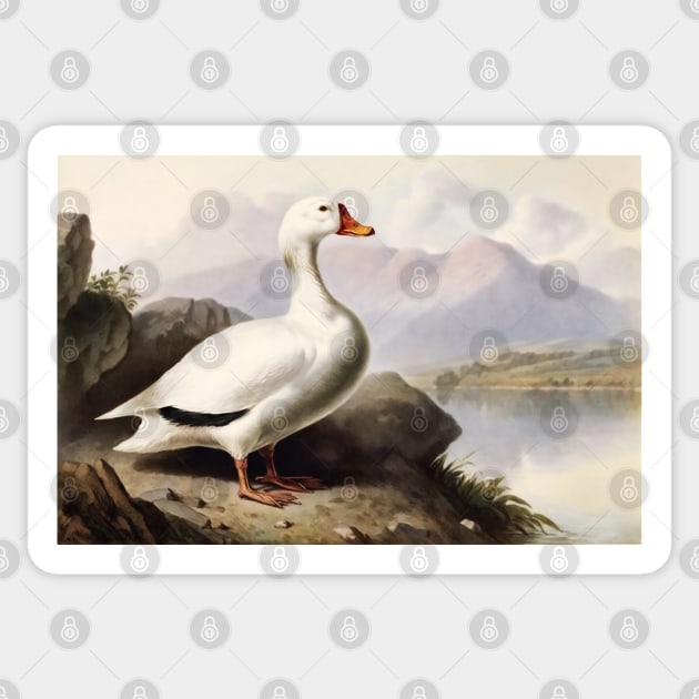 White Duck Sticker by Walter WhatsHisFace